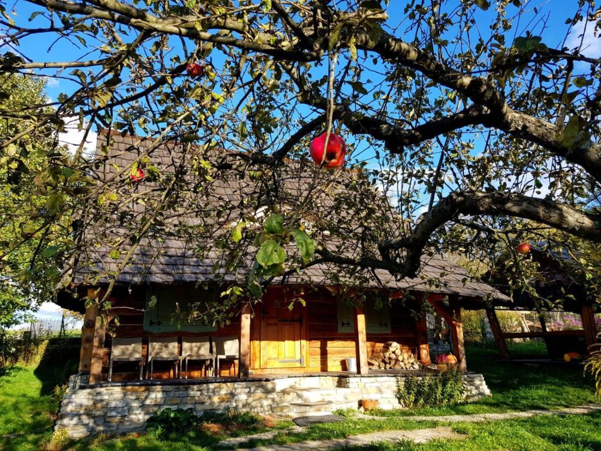 Jabloniowy Sad Kalwaria Paclawska Villa Exterior photo